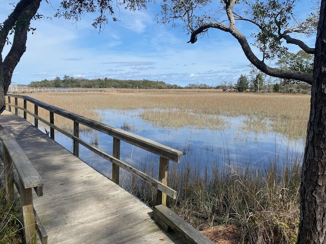 dock area with a water view