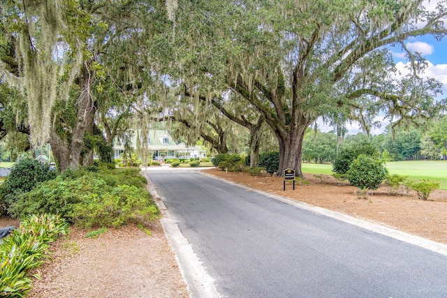 view of asphalt street featuring view of scattered trees