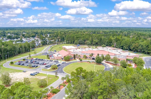 drone / aerial view of a forest