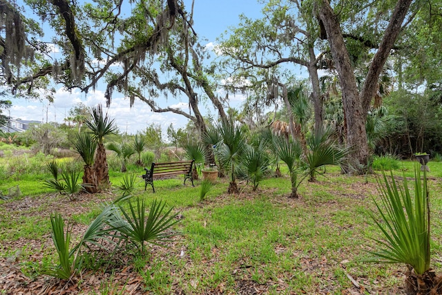 1604 Macoma Dr, Mount Pleasant, SC 29466 - view of yard