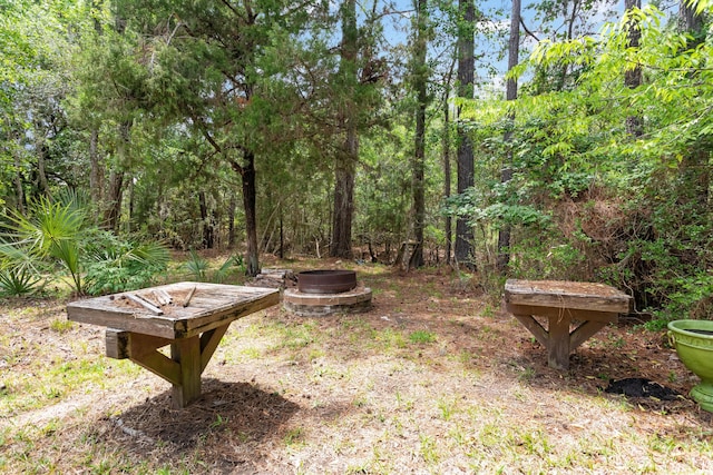 1604 Macoma Dr, Mount Pleasant, SC 29466 - view of yard featuring a fire pit