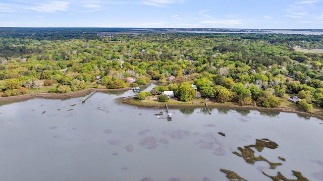 1239 Old Orchard Rd, Charleston, SC 29412 - birds eye view of property with a view of trees and a water view