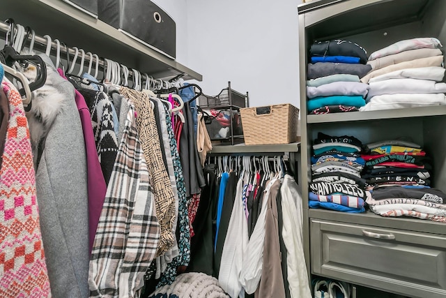 view of spacious closet