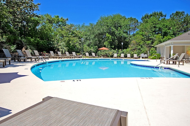 view of swimming pool featuring a patio area