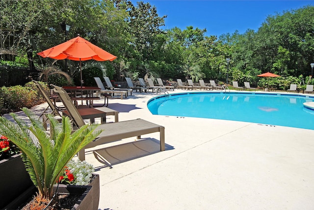 view of swimming pool featuring a patio area