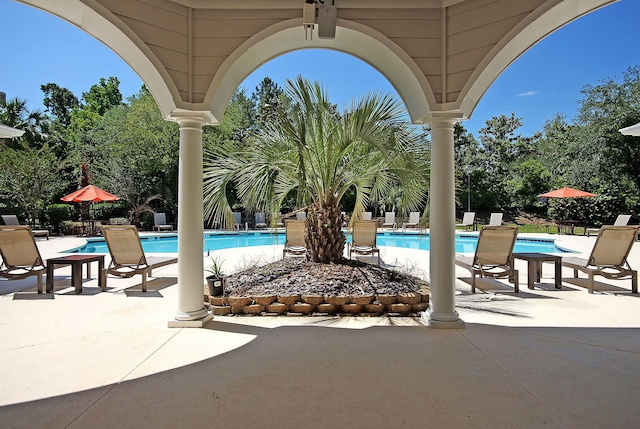 view of swimming pool with a patio