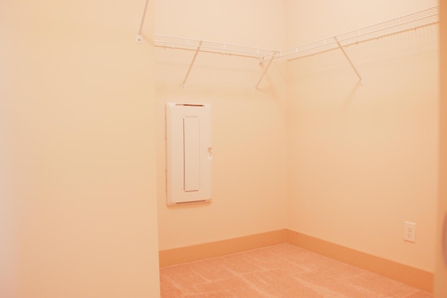 303 Citation Way, Moncks Corner, SC 29461 - laundry room with carpet floors and baseboards