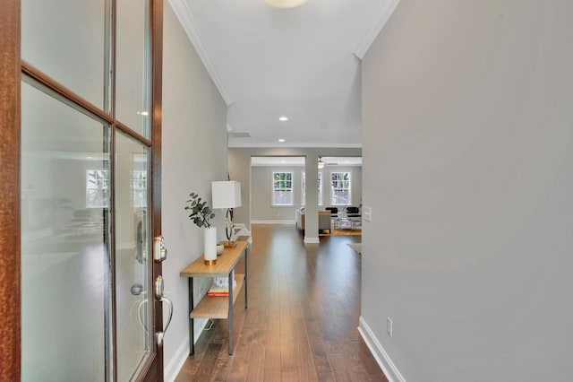 hall featuring crown molding and dark hardwood / wood-style flooring