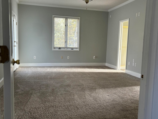 carpeted spare room with crown molding