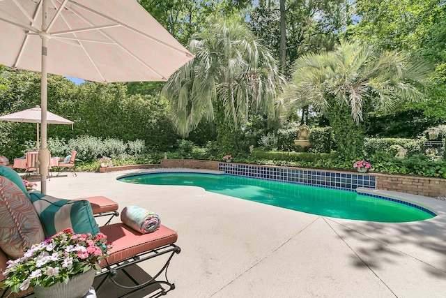 8662 W Fairway Woods Dr, North Charleston, SC 29420 - swimming pool featuring a patio area and view of wooded area