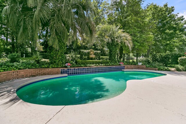 8662 W Fairway Woods Dr, North Charleston, SC 29420 - outdoor pool with a patio area