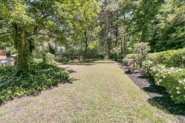 8662 W Fairway Woods Dr, North Charleston, SC 29420 - view of grassy yard