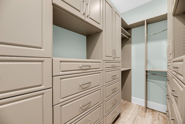 spacious closet featuring light wood finished floors