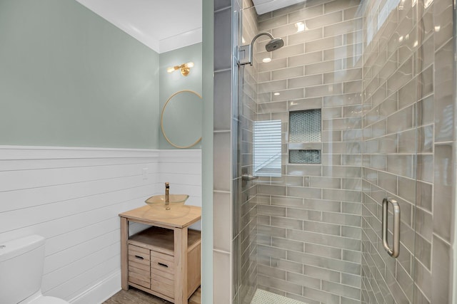 bathroom with a wainscoted wall, a shower stall, toilet, and vanity