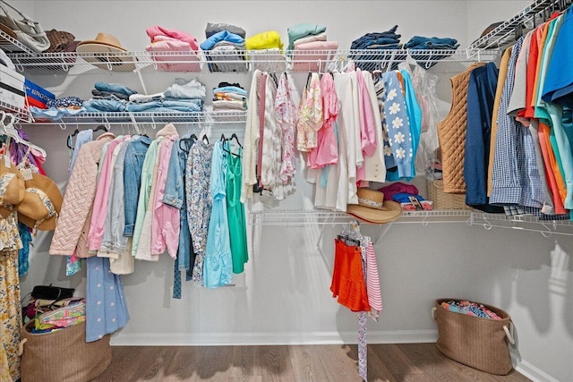 walk in closet featuring wood finished floors