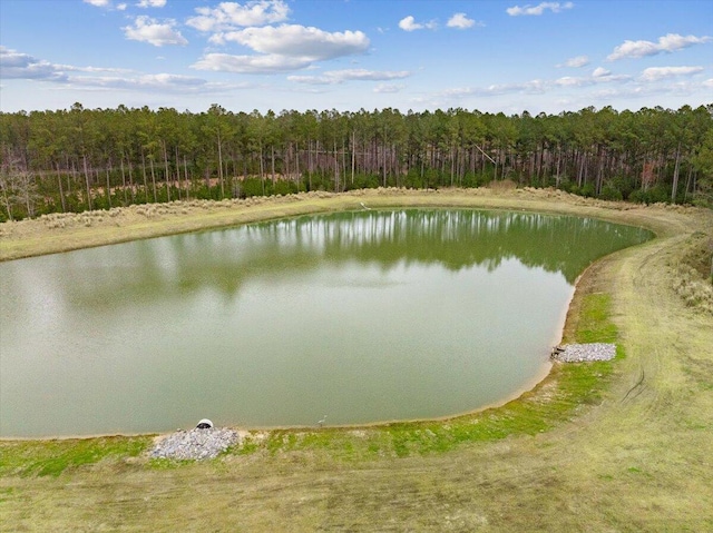 property view of water with a wooded view