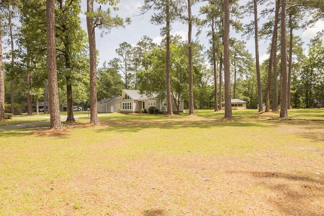 1044 Academy Rd, Walterboro, SC 29488 - view of green lawn featuring view of scattered trees
