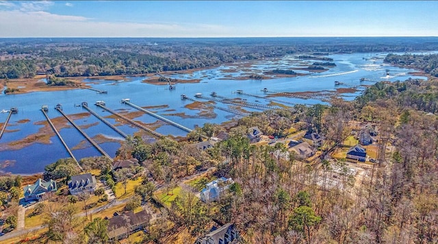 5681 Captain Kidd Rd, Hollywood, SC 29449 - aerial overview of property's location with a large body of water and a heavily wooded area