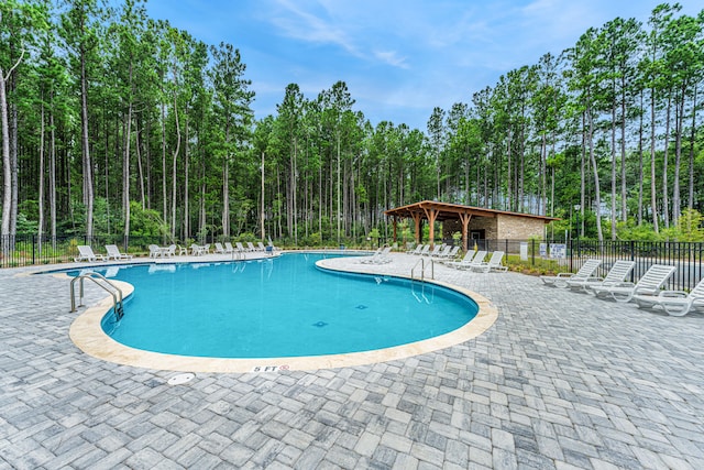 view of pool with a patio area