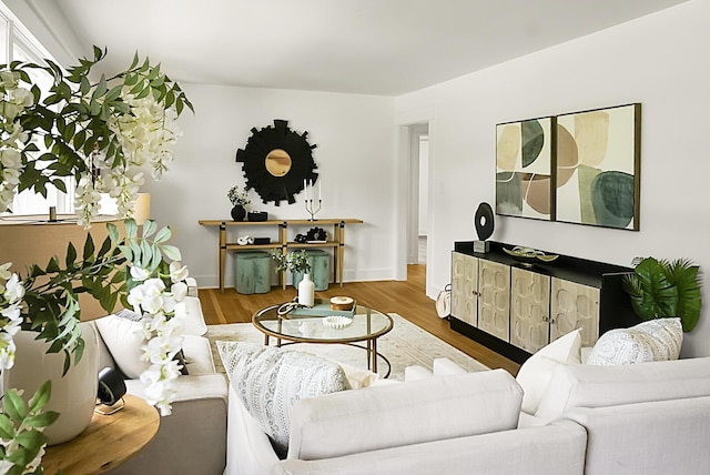2456 Lantern St, Charleston, SC 29414 - living room with wood finished floors and baseboards