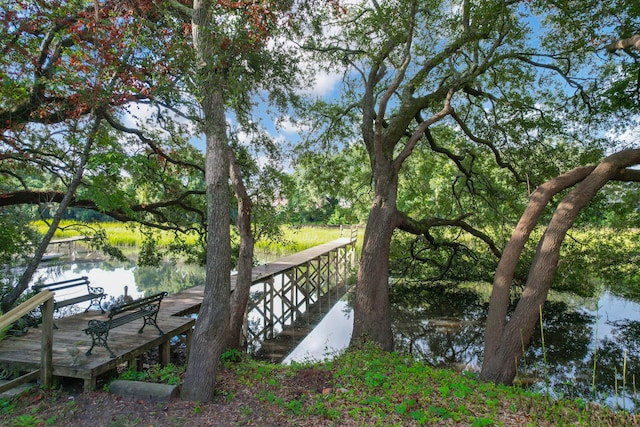 dock area with a water view