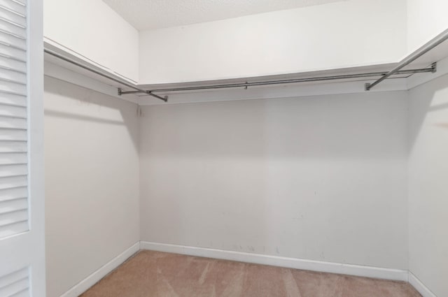 spacious closet with light colored carpet