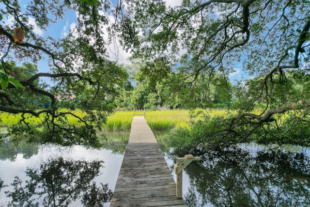 dock area with a water view