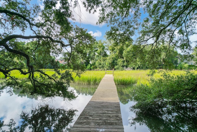 dock area with a water view