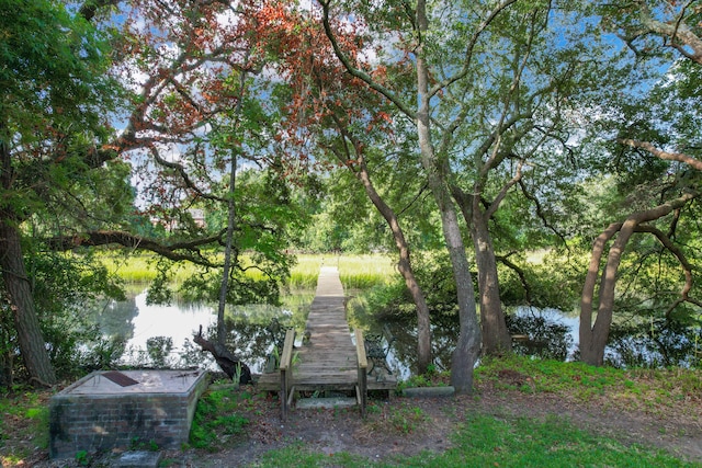 dock area featuring a water view