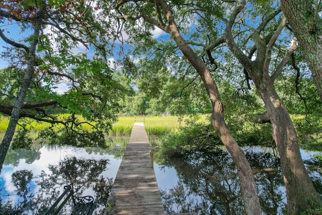 view of dock with a water view