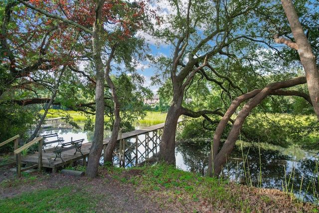 property view of water featuring a boat dock