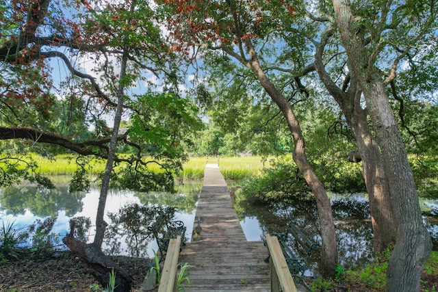 dock area with a water view