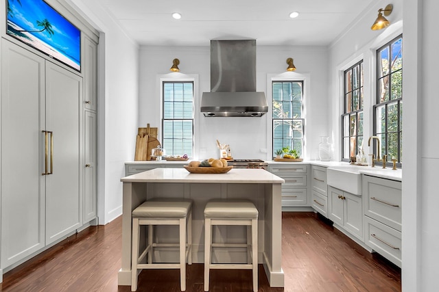 kitchen featuring wall chimney range hood, dark hardwood / wood-style floors, sink, and a wealth of natural light