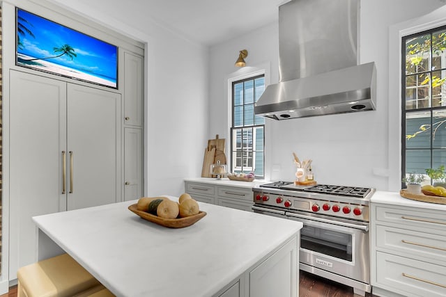 kitchen with designer range, exhaust hood, a wealth of natural light, and dark hardwood / wood-style flooring