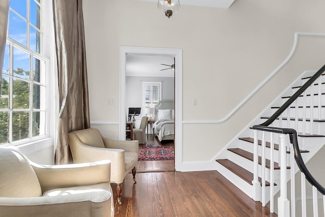 living area featuring ceiling fan, a wealth of natural light, and dark hardwood / wood-style flooring