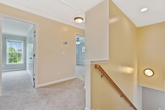 489 Dolphin Dr, Summerville, SC 29485 - hall featuring attic access, an upstairs landing, crown molding, carpet flooring, and baseboards