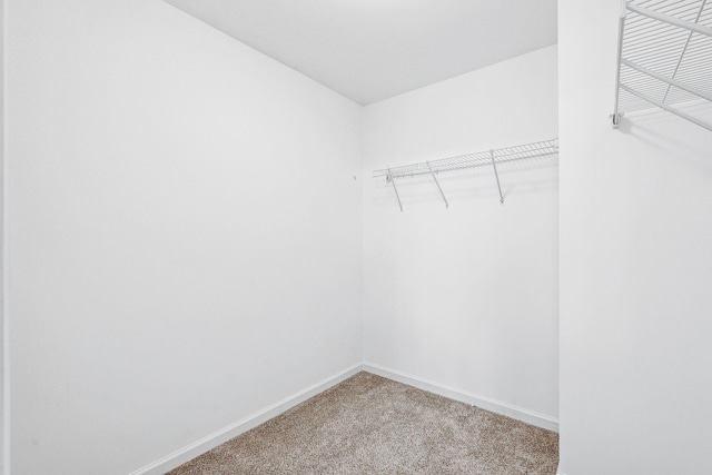 489 Dolphin Dr, Summerville, SC 29485 - walk in closet featuring carpet floors