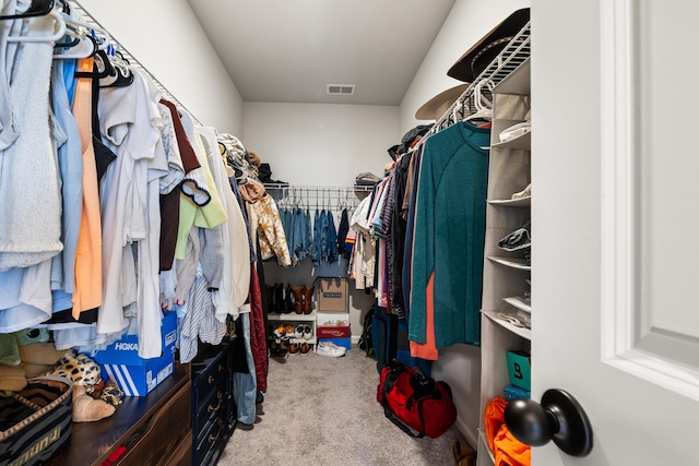 582 Mclernon Trce, Johns Island, SC 29455 - walk in closet with carpet