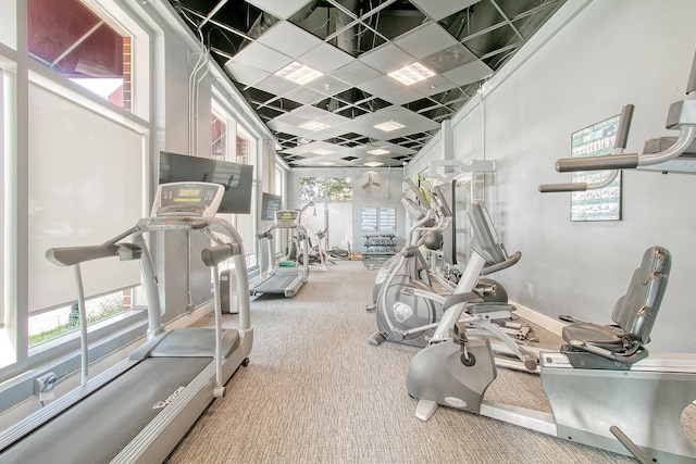 workout area with a paneled ceiling, carpet floors, and a wealth of natural light