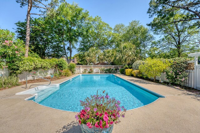view of swimming pool with a fenced backyard and a patio