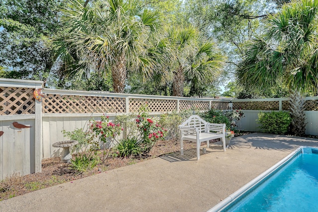 view of swimming pool featuring a fenced backyard and a patio area