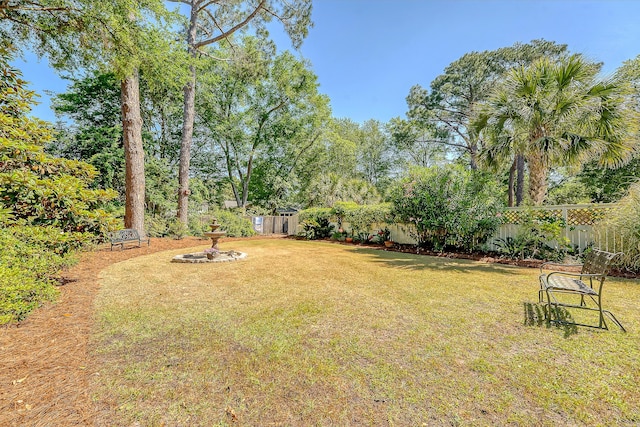 view of yard