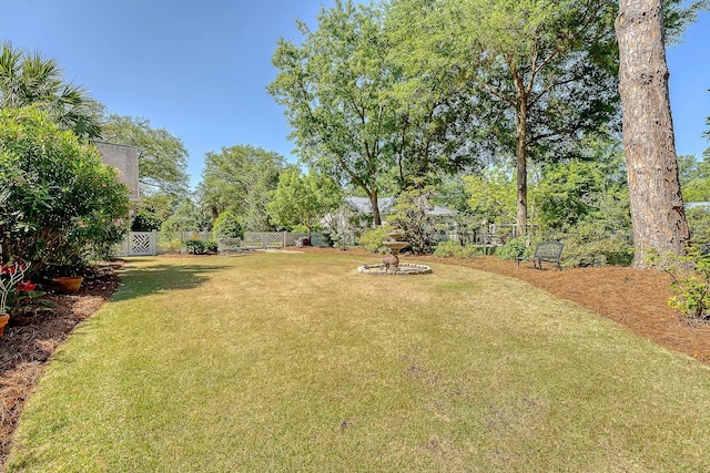 view of yard