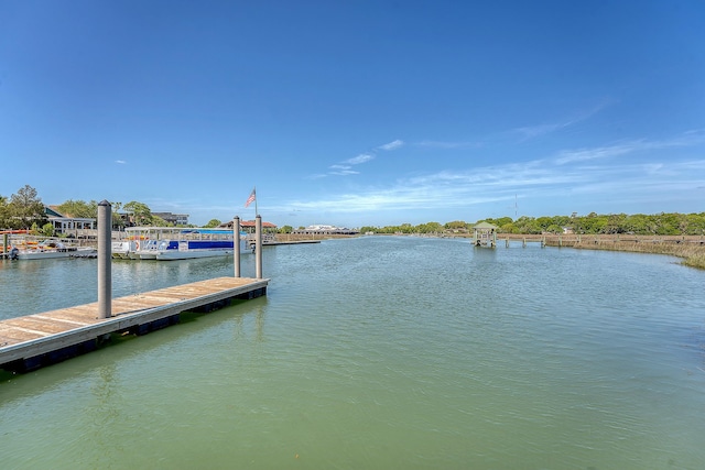 dock area with a water view