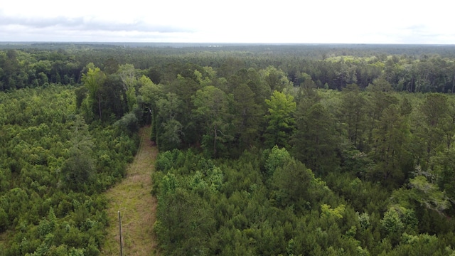126 Batten Way, Ridgeville, SC 29472