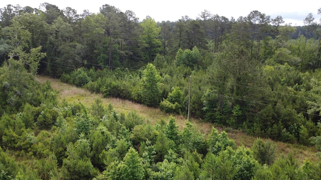 126 Batten Way, Ridgeville, SC 29472