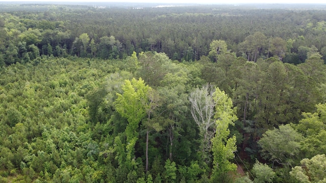 126 Batten Way, Ridgeville, SC 29472