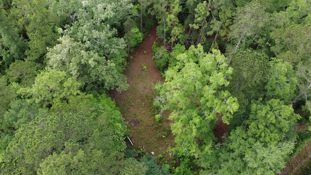 126 Batten Way, Ridgeville, SC 29472