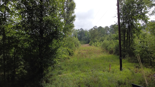 126 Batten Way, Ridgeville, SC 29472