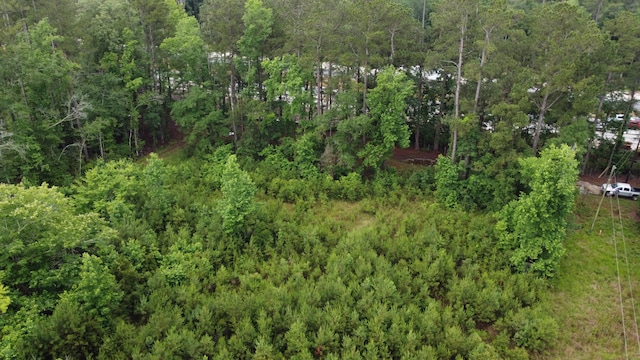 126 Batten Way, Ridgeville, SC 29472